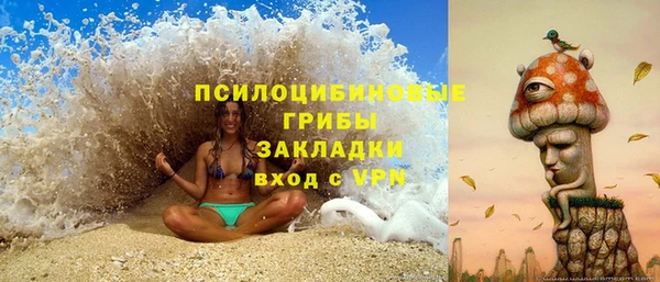 сатива Красноперекопск