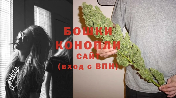 apvp Краснослободск