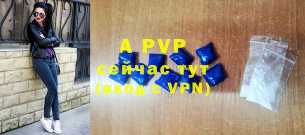 apvp Краснослободск