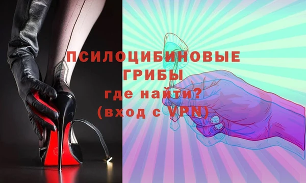 ПСИЛОЦИБИНОВЫЕ ГРИБЫ Краснотурьинск