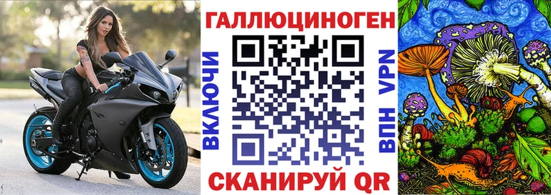 Купить закладки  Заозёрск  Псилоцибиновые грибы Psilocybine cubensis 